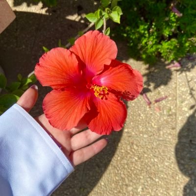 DrRifalQ's profile picture. 5th year medical student at @kkueduksa || #kku_med My heart comes before my knowledge when caring for patients.❤️