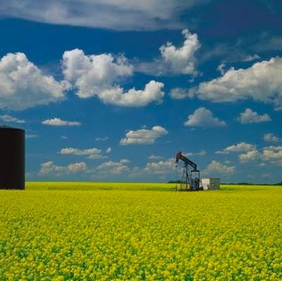 FPL_Rallo's profile picture. Canadian
🇨🇦 🇺🇸 🇮🇪