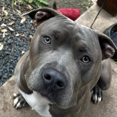 Odinspickz's profile picture. 