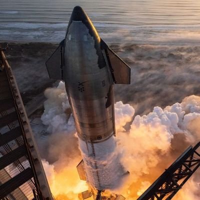 egorovaolia24's profile picture. 