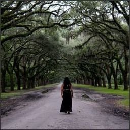 LeyfSandbe40592's profile picture. 