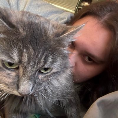 arsoncalum's profile picture. big swing, big ding