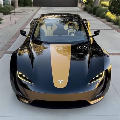 teslafamil87358's profile picture. 