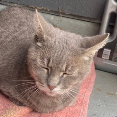 154Degrees's profile picture. 17 || Artist and Animator || Boy