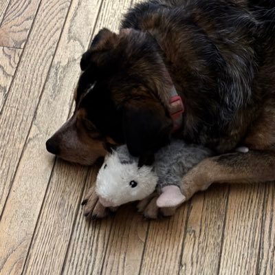 Maggie1257's profile picture. 