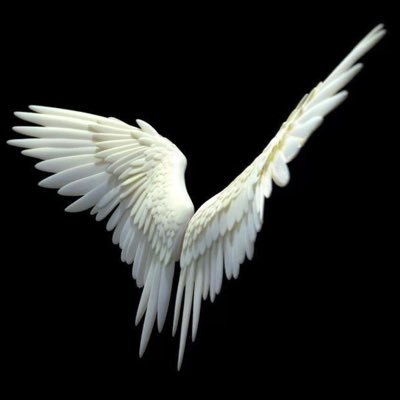 abduzzida's profile picture. ㅤ ㅤㅤ