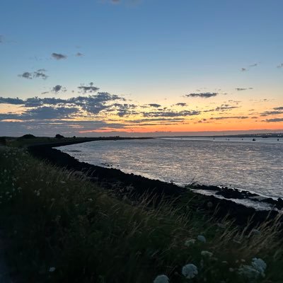 may29054147's profile picture. 