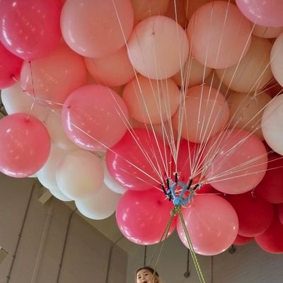 btcjoy's profile picture. Premium+ ⚡️ | BTC · ETH | Life & Parenting | Future Tesla Model YL | F4F