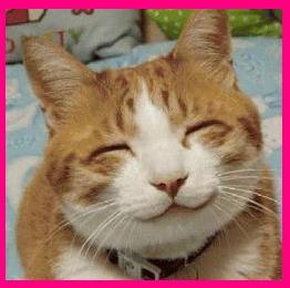 kimspinkbubbles's profile picture. 🤪 I am a cat lover. 🦋  Also, I am a librarian at an elementary school in Louisiana and I am a bartender by night. Cheers!!! 🍹
Donate: https://t.co/kJpba2qcHG