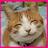 kimspinkbubbles's profile image