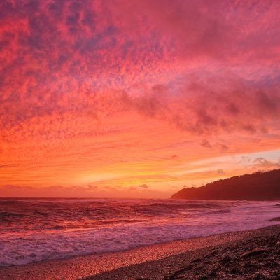 EX0C0RE's profile picture. welcome to exoplanet | exo archive