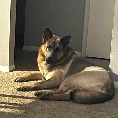 TerenceNobles's profile picture. #KREO #FLATLINE #B2B #MFM #MEM #Village #BAYOU #GBTV #BMR #MOLDED #OUTLAWS #OUTsders #TEAM40 #Grapes #DocNation #30Pk #SLB #DTHW #MajPlaya #LBRBL #HennyTV