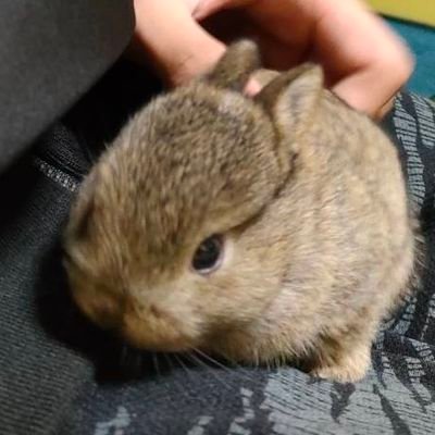 3nnn_3nn_3nnn's profile picture. 懸賞フォロワさんは歓迎。無言フォロー失礼します。