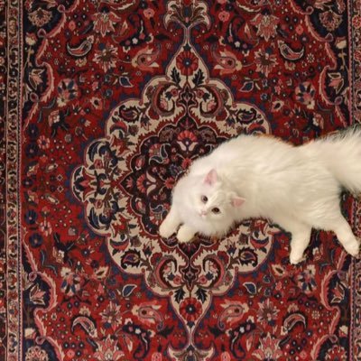 ozilinaa's profile picture. saaherana aankhein, shaayrana baatein 🍁