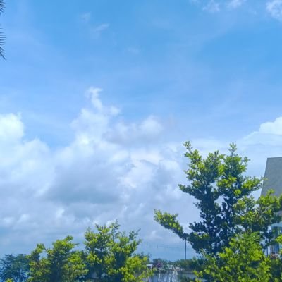 sweettmungbean's profile picture. 