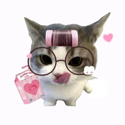 yoc520205's profile picture. 