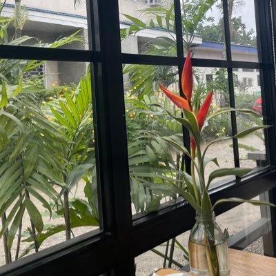 foreveryualways's profile picture. 