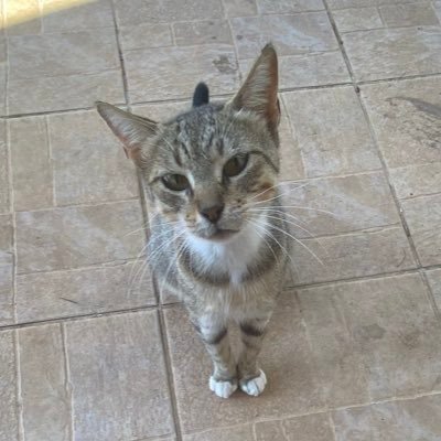 houk3n's profile picture. 