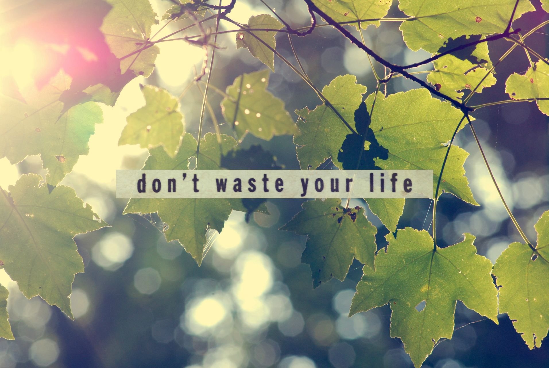 TeuTherook's profile picture. Did I try in every way to show her every day