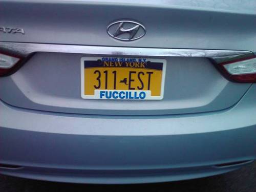 censr311's profile picture. 311-est