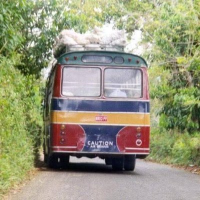 slidemongoose's profile picture. QPR, Jets, Windies Arts, Podcasts , GB/IRE horseracing (dont gamble) Farming all sorts. Flipping thru chapter 5 of life. Photography. ExWhitehall (Mags-Dave)