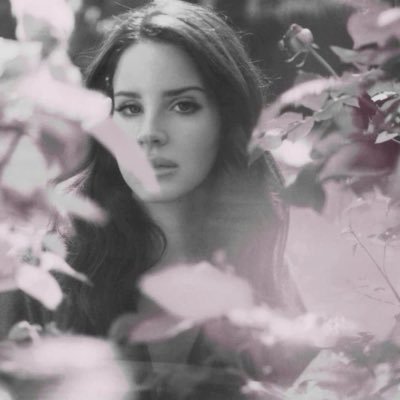 jkv1xen's profile picture. i love #정국