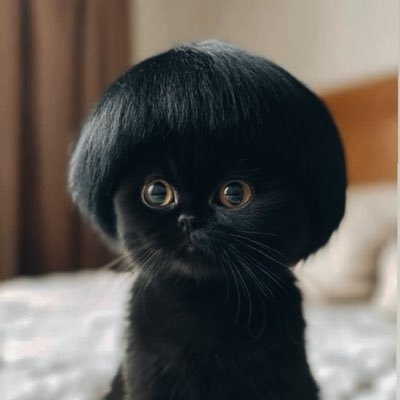 podduangpp's profile picture. 🖤🤍¥🐯🐶 #PerthSanta #เพิร์ธแซนต้า #PerthTanapon #Santapp ที่รักของเพิร์ธแซนต้า😝 (มัมหมีปลอมแก๊งจอยลดา)*แฟนพิ้จุง🤫