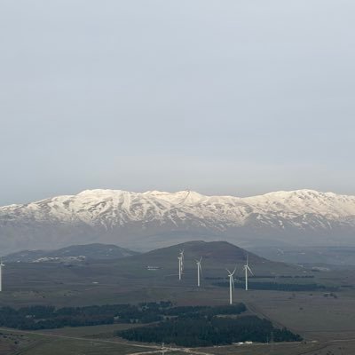 YSTourDj's profile picture. 