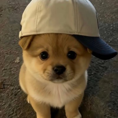 o2nusj's profile picture. 