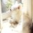 nexz_oshiaca's profile image