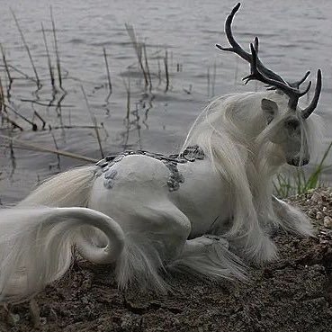 ime0wbackatcats's profile picture. ime0wbackatcats on ig🐾