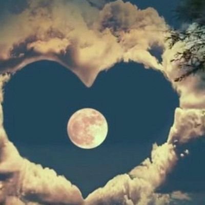 MardiSakodous79's profile picture. Some will hate you because you had less and still did more