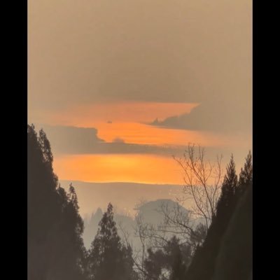 wyqmbys1102's profile picture. I'm not a robot.   小炒怡情。