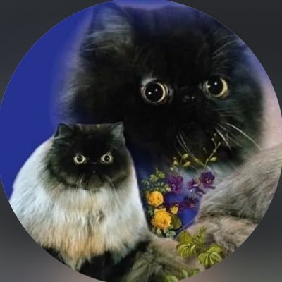 tiny_banana22's profile picture. I'm just a mediocre artist who likes to draw for fun. she/her |23| aroace | 🇺🇸🇲🇽 
Portfolio: https://t.co/U5jR2yXYjz