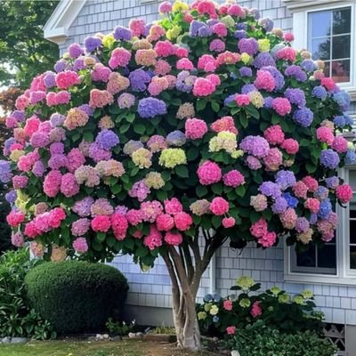 gianluca65580's profile picture. benvenuti nell'account ufficiale 🎹🎺 di Barone IL Volvo