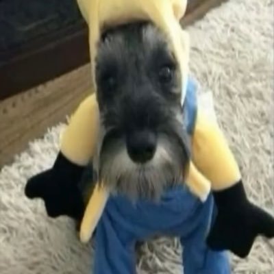 ffgreloaded's profile picture. #Lakeshow