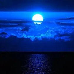 Rojava58Wald's profile picture. Bijî Gelê KATALAN - Visca el poble Català