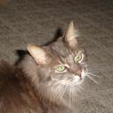 JEANIE tHOMAS - @basque777 - Twitter