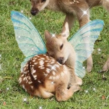 KWhite121355's profile picture. 🏳️‍🌈 She/Her 
Just a lurker appreciating art and fics 💙
I love Pricefield