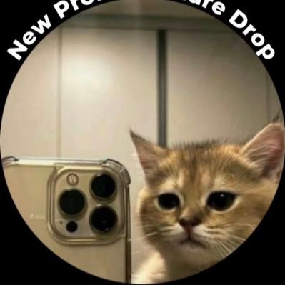 samplelou_sol's profile picture. 