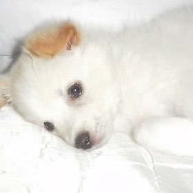 hayyuiok's profile picture. 365 24/7 바왁병자상시거주중