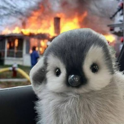 goodpenk's profile picture. https://t.co/QTe7fDXbv7