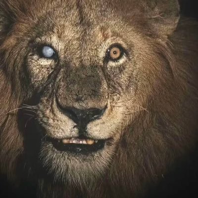 RealCoachBeef's profile picture. 2024 SWAC Champs | 2024 HBCU National Champs |