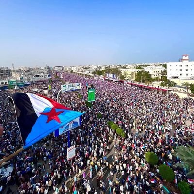 ly_mhmd48361's profile picture. 