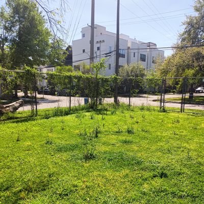 oscarfontenot13's profile picture. I'm still at it