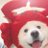 pangdoue's profile image