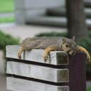 Adele Hill - @MariLwyd - Twitter