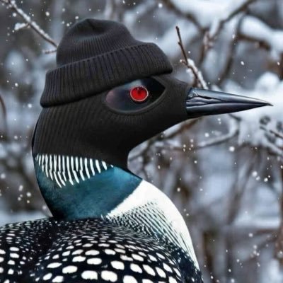 VangV96796's profile picture. Minnesota isn’t taking anyone’s shit. winter is coming.