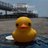 melbourne_topo's profile image