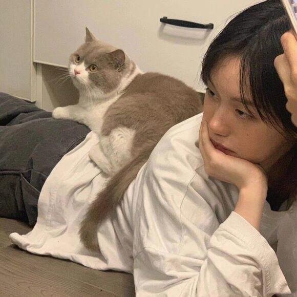 mary53159611562's profile picture. 🌂一手源头推特刷粉刷赞💼网站：https://t.co/DQLTbPhXTX    85元代🎁开推🎌特蓝V 全球💎最低价/2元推特💦老号购🎁买🔥网址 https://t.co/PYPs9ssEoA 电报客服：https://t.co/3oTtFaZmnp